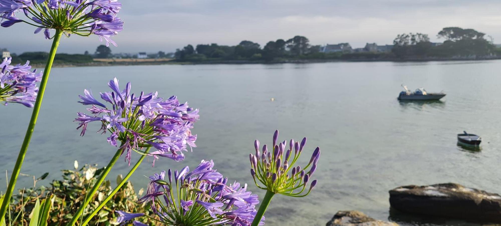 Kelerdut Plage Plouguerneau Eksteriør bilde